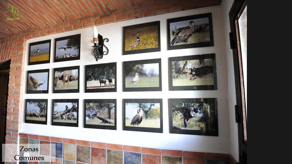 Apartamentos Rurales Monfraguee Torrejón el Rubio Eksteriør billede